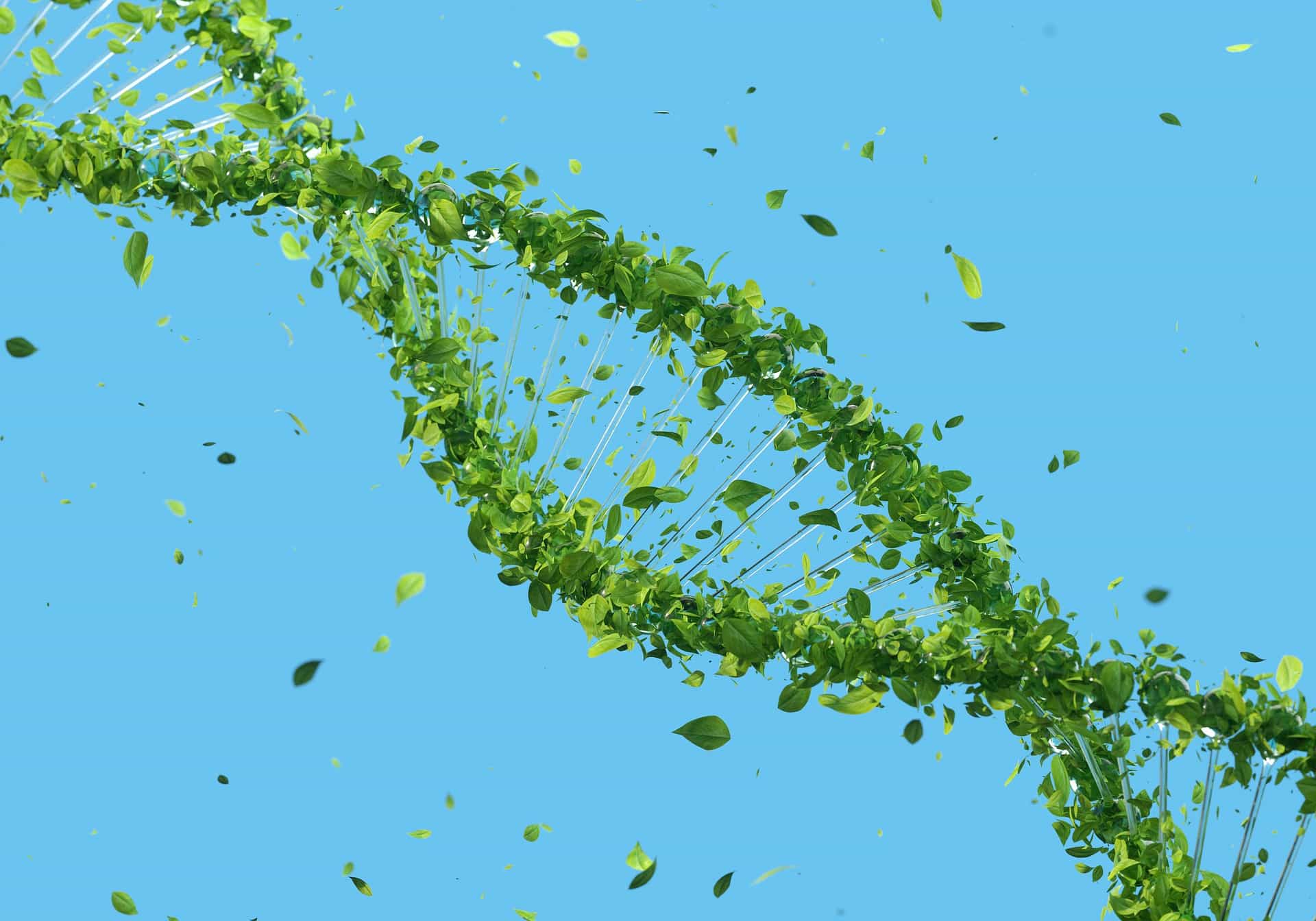 Gene Therapies HTA Challenges