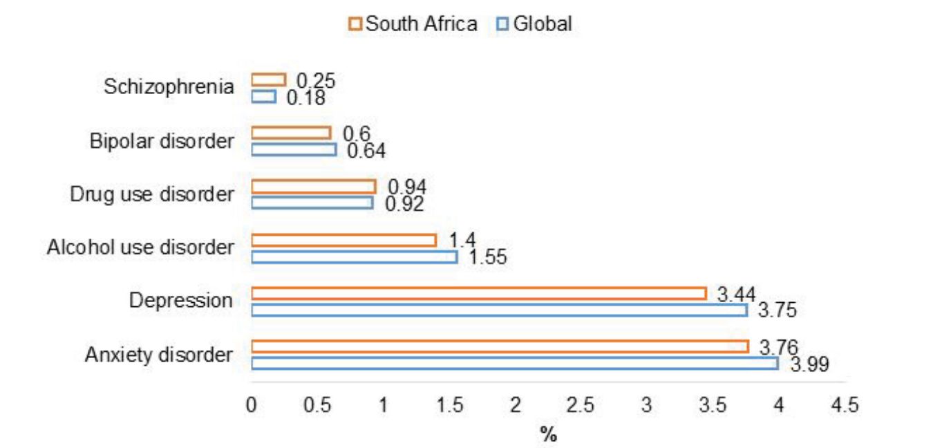 Prioritizing Mental Health in South African Medical Schemes: Challenges